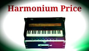 Read more about the article Best Harmonium Price List 2021 Popular Brand